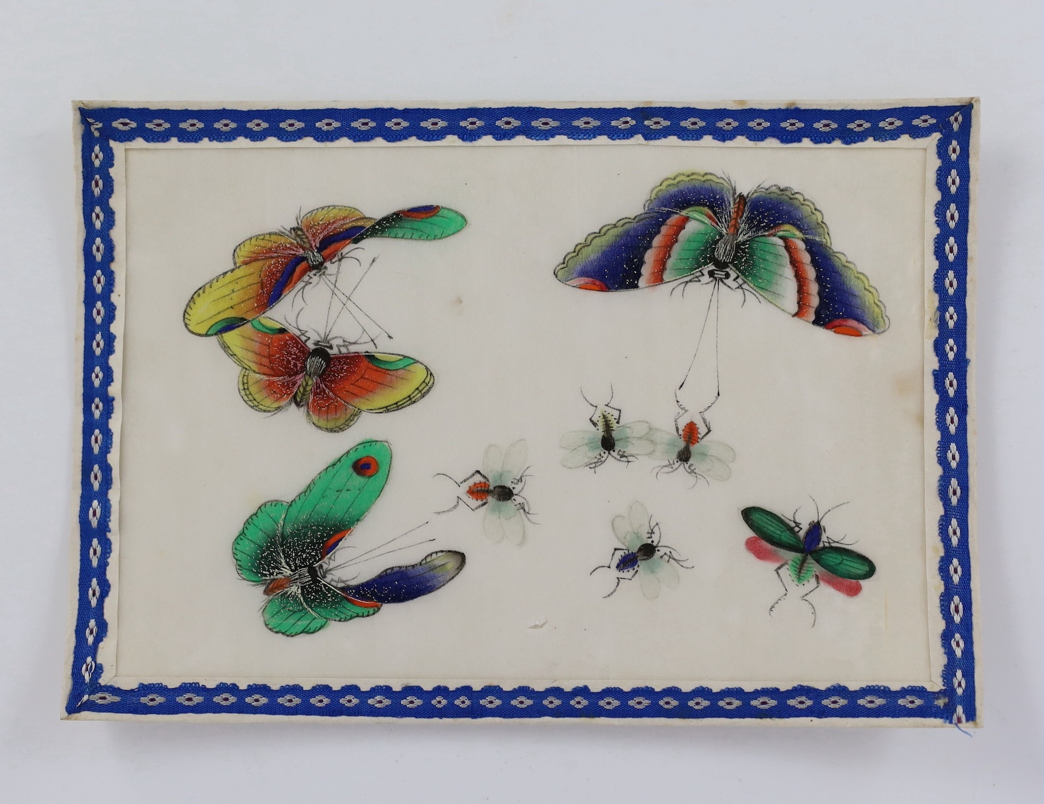 A set of twelve Chinese pith paintings of butterflies and insects, mid 19th century, total size 18cm x 12.2cm, small holes to paper